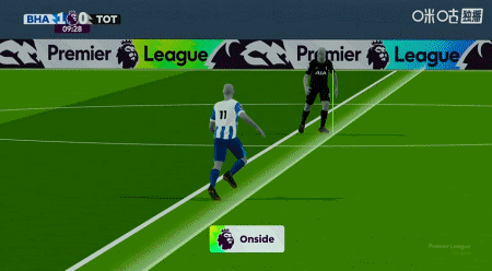 荷兰新援哈 荷兰新援哈